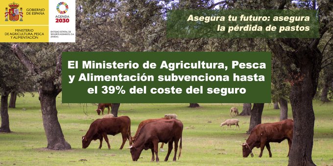 Criterios necesarios para asegurar tus pastos gracias a las subvenciones de #ENESA 🌱🌿🌱🐂
Entidad Estatal de Seguros Agrarios O.A. Ministerio de Agricultura, Pesca y Alimentación.
⤵⤵⤵
bit.ly/3l8Yo5g