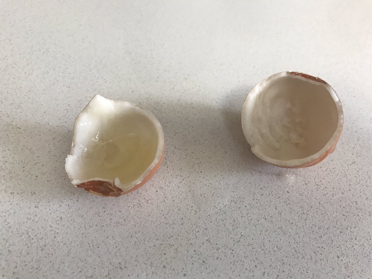 igillesp's tweet photo. Need help Twitter. Tried @mrdanwalker‘s #DukeOfYolk technique but no chance of #EggClub admission. 90s in 90s out but still a disaster. What am I doing wrong? https://t.co/dGqfhToRqP