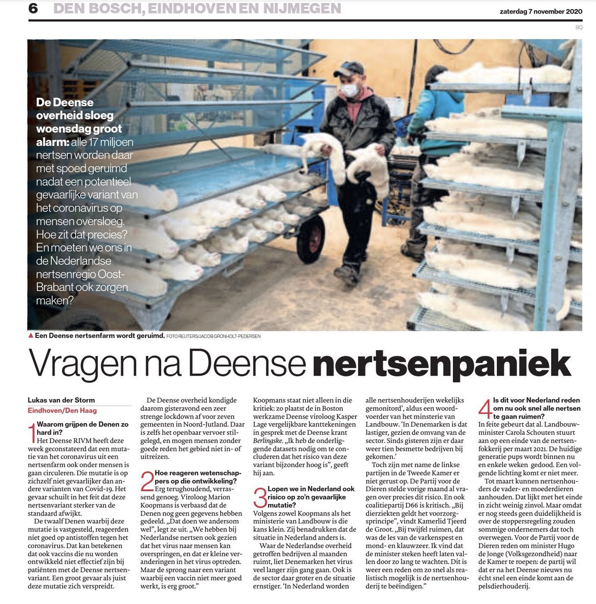 Onmiddellijk stoppen met die nertsfokkerijen, net als in Denemarken