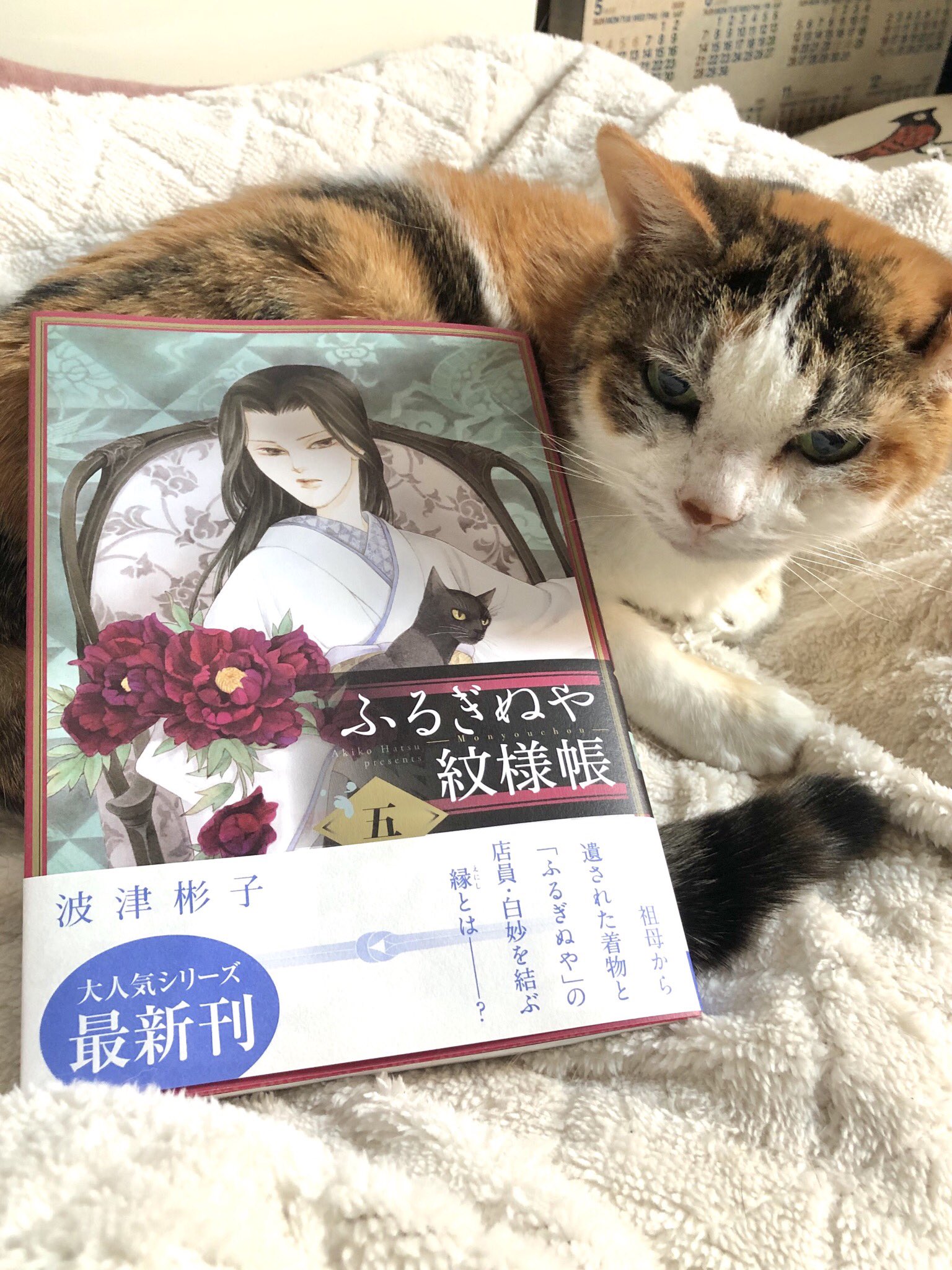 波津彬子 見本誌が来たから宣伝しなくちゃ やる気のない猫と写真撮っちゃうぞ ふるぎぬや紋様帳 五 11月10日発売です 小学館どす 今さら直し損ねたミスを見つけてくうぅてなってますが よろしくよろしく 波津彬子 見本誌が来たから宣伝しなくちゃ やる気のない猫と写真撮っちゃうぞ ふるぎぬや紋様帳 五 11月10日発売です 小学館どす 今さら直し損ねたミスを見つけてくうぅてなってますが よろしくよろしく