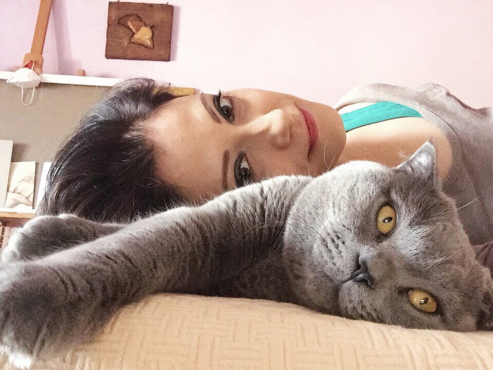 OssesSonya's tweet photo. Just a PURRRRFECT day 🎶
#LoZar 🐾 https://t.co/9mkPnEsJV8