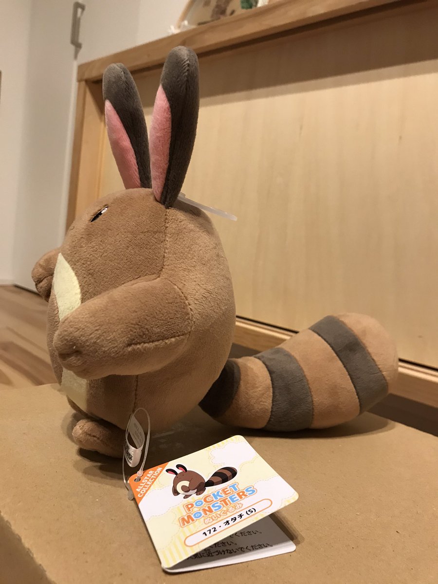 有限会社リトルスター コピーライトマネージメント アマゾンからオタチ届いた 今回のぬいぐるみは しっぽが太めでしっかりしている お腹の輪っか部分は少し黄色がかった色 耳が長めなどの特徴 かわいい ぬい撮り ポケモン オタチ