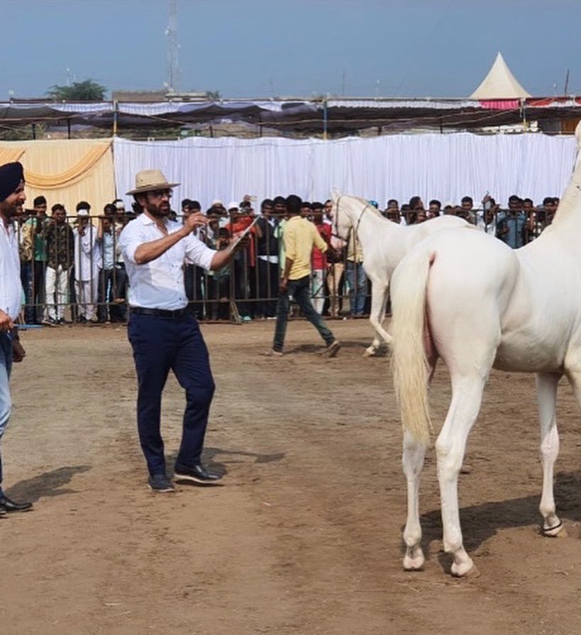 AjitNandal's tweet photo. #Throwback Sarangkheda horse show 2019. #Judgingtime #marwarihorse #horseshow . https://t.co/5NayJWC2rc