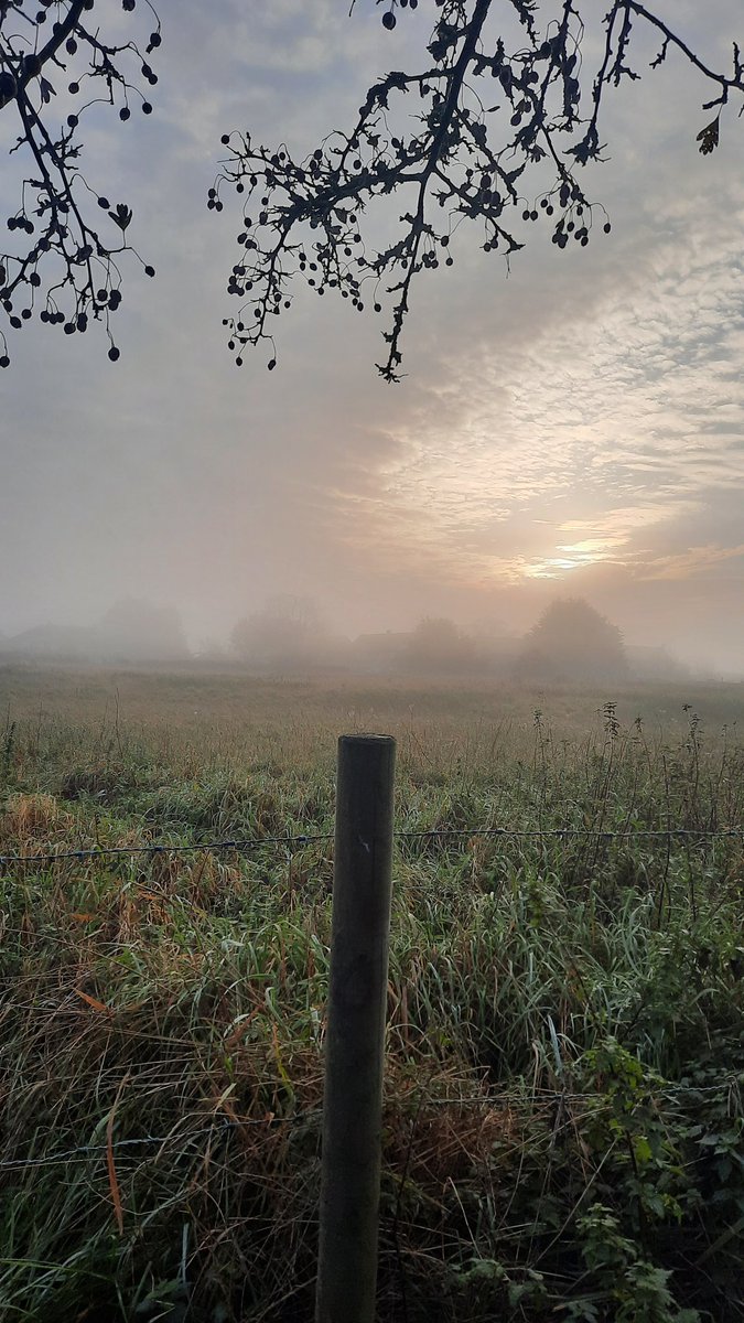 Emmalooker's tweet photo. @heartoflincs @CountrysideNK @hillholtwood @MrsSmithCottage @Cogglesford @NavigationHouse @CranwellMuseum @DoddingtonHall @WhisbyNatureP @LincsWildlife @Visit_Lincs @BBCRadioLincs The #VikingWay this morning.. #WaddingtontoBracebridgeHeath https://t.co/QVOw7TY0hl