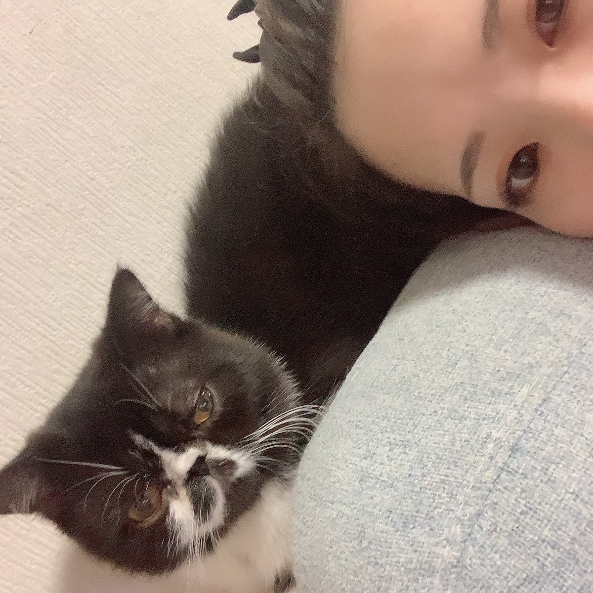 相変わらずふてこい顔してますわ