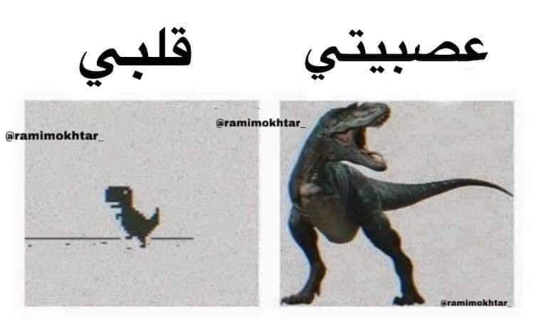 Egyptianmemees's tweet photo. Fact: https://t.co/FWIaaYOvyG