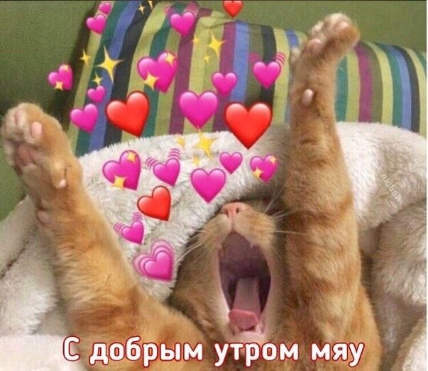 foreverarmytiny's tweet photo. @vvlladda @yellippie_twt https://t.co/nM7wyL6wUh