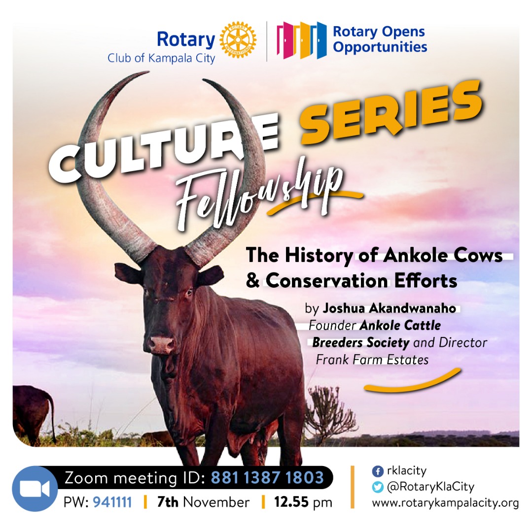 CattleAnkole's tweet photo. Today I will be presenting at @rotarykampala the History of #ankolecattle and conservation efforts https://t.co/O09a5nLAXW