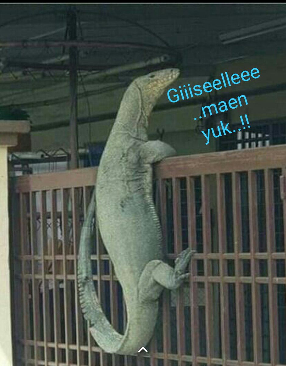 b0ge_l's tweet photo. #GISELLE maen yuk...!!! https://t.co/7R3EUwTHnG