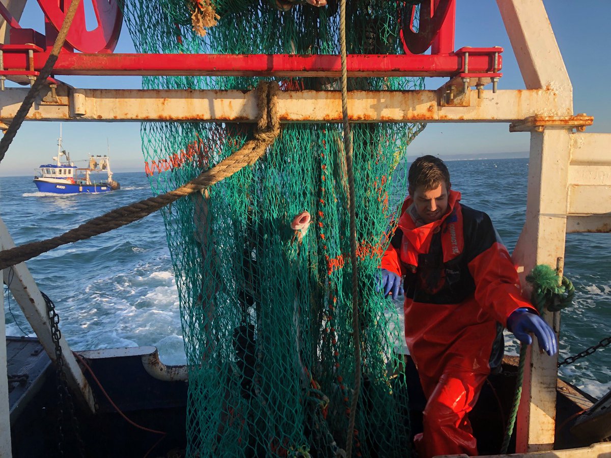 Silver Harvest tweet media