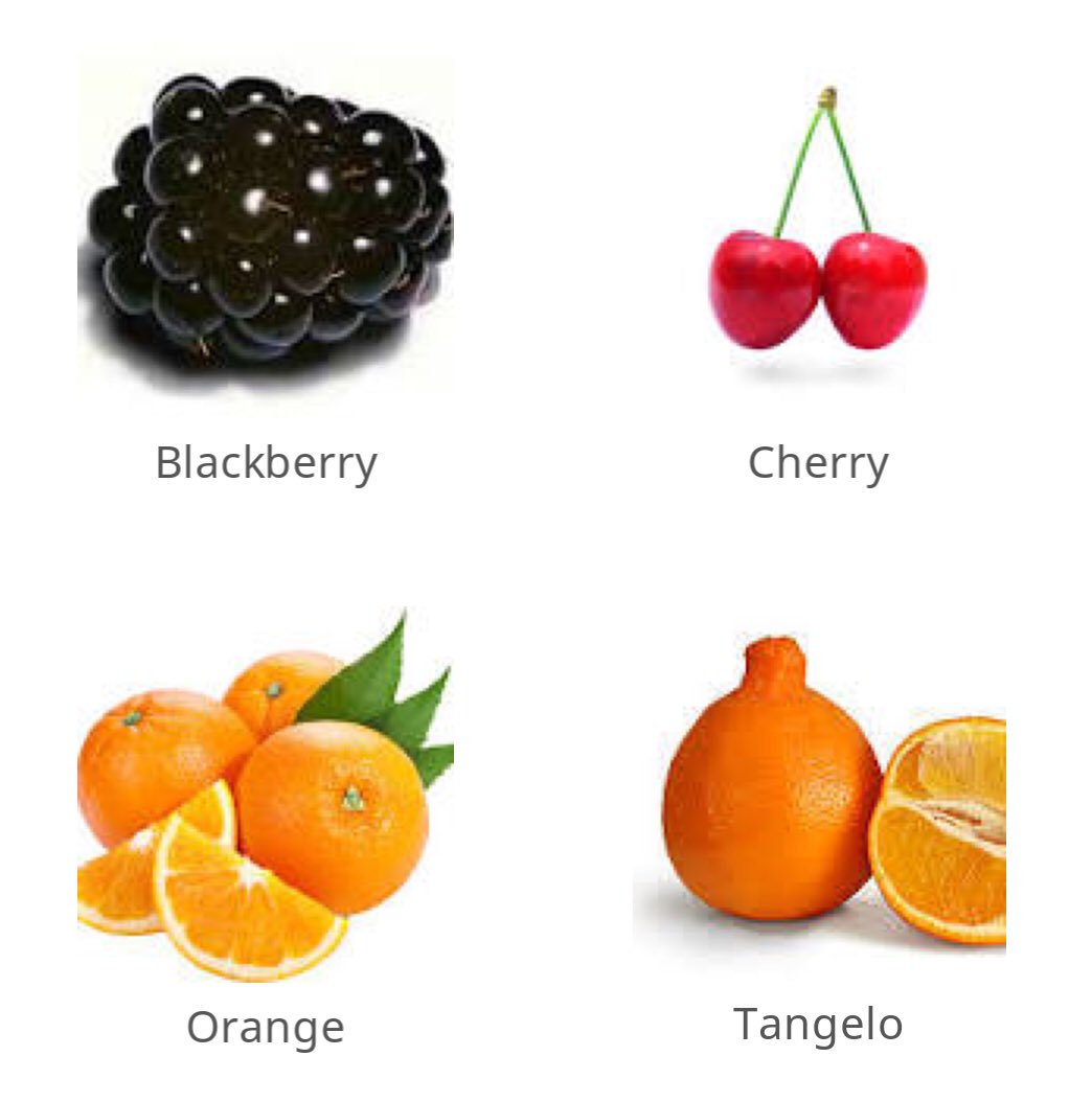 grazerdotorg's tweet photo. Our favorite fruits of the day 🍊
#fruits #vegetables #cooking #gym #desserts #dining #vegan #health #fitness #breakfast #lunch #dinner #mind #body #spirit #diet #wellbeing #productivity #food #Foodie #callories
#immunity #lifestyle #nutrician #construction #metals #oil #gas https://t.co/NXzj3fbYlP