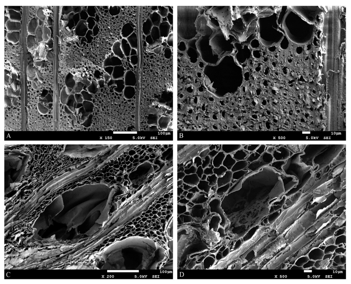 wltdpoznan's tweet photo. "Comparison of Contemporary #Elm (#Ulmus spp.) and Degraded #Archaeological Elm: The Use of Dynamic Mechanical Analysis Under Ambient Moisture Conditions" by Morwenna Spear and Magdalena Broda in @Materials_mdpi: https://t.co/6nYlp1UJ2d.
#DMA #viscoelasticbehaviour #wood https://t.co/TFLgubFlj2