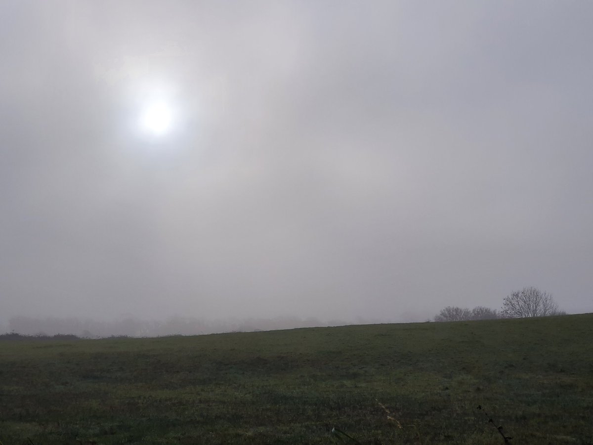 lyn_foley's tweet photo. Day 312 of #100daysofwalking #365daysofwalking #walkingthroughthecrisis #WalkingThroughLockdown2 #5kmfromhome 

Ohhhh foggy. https://t.co/LeQVYdLSfy