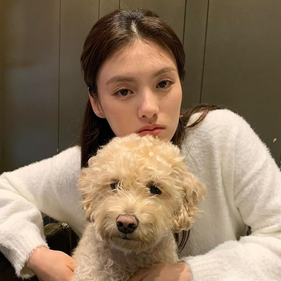 kimyongjiph's tweet photo. IG User: @/rouxrye IG UPDATE WITH @/demi_kimee tonight ♡ 
-
-
-
#ADORABLE 💛
#dogmum #KimYongJi #KimYongJiPH https://t.co/4s7MbFTd1W https://t.co/u4z4MQrGus