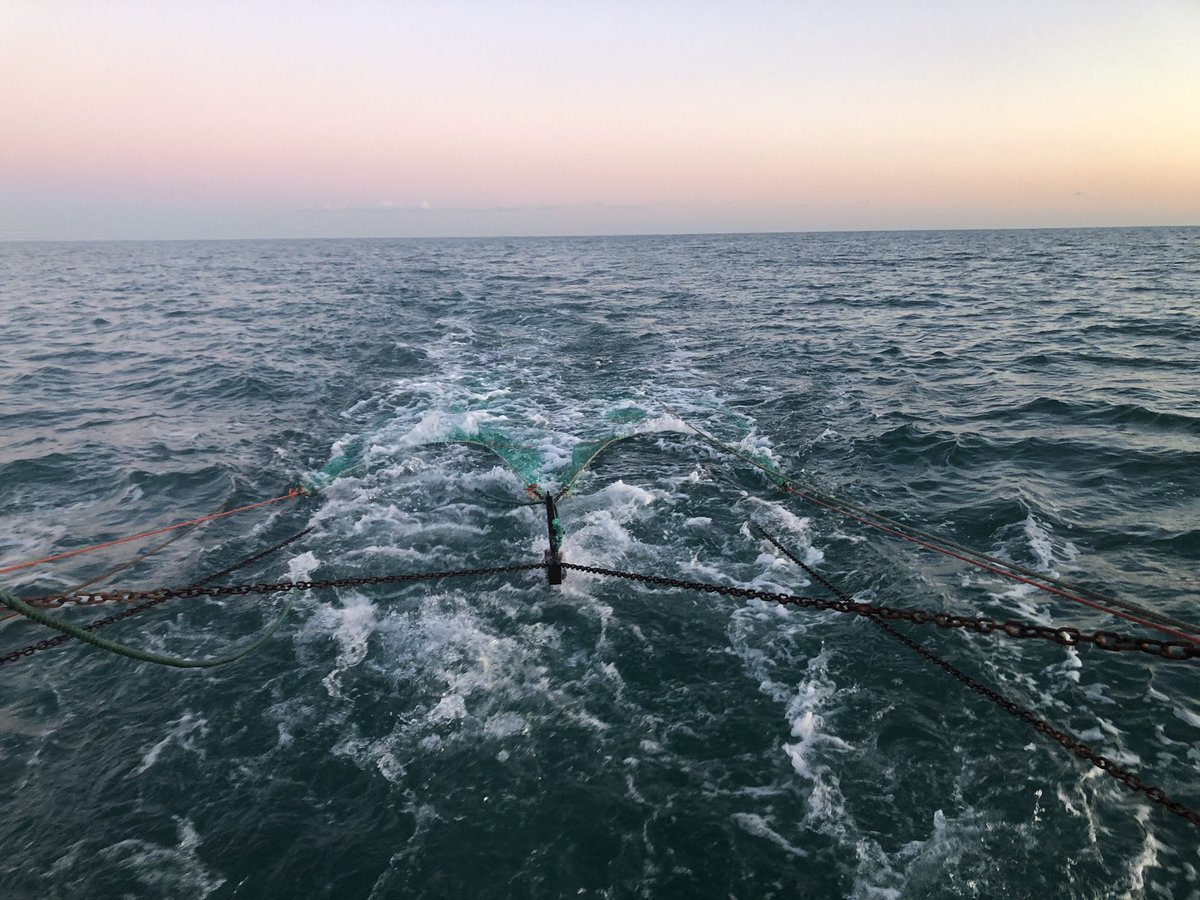 simper_jonathan's tweet photo. if anyone needs home deliveries of our fish from our boats and local vegetables in the Woodbridge Ipswich  Aldeburgh area as far north as FRAMLINGHAM order from Website https://t.co/3ytJGSJy6f https://t.co/tDtxKOlSsC