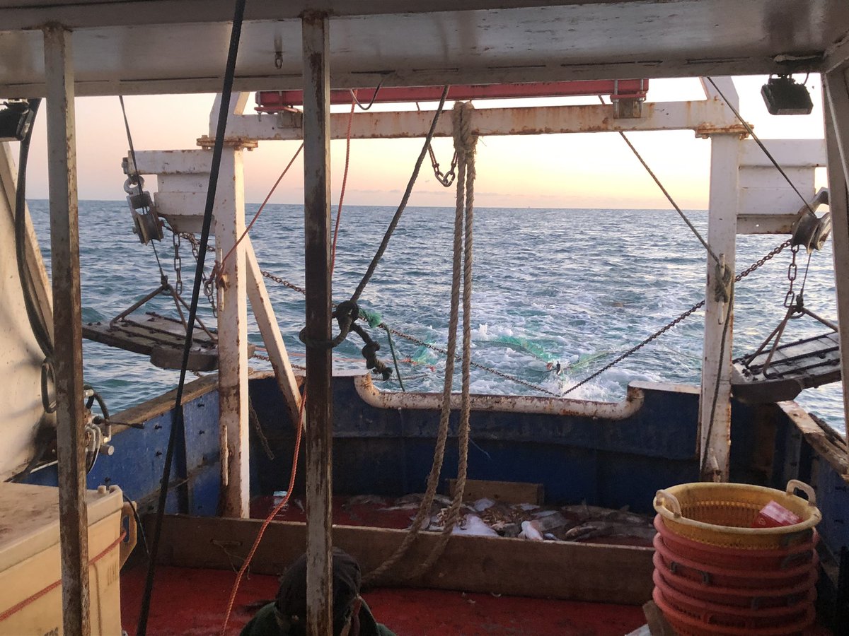 Silver Harvest tweet media