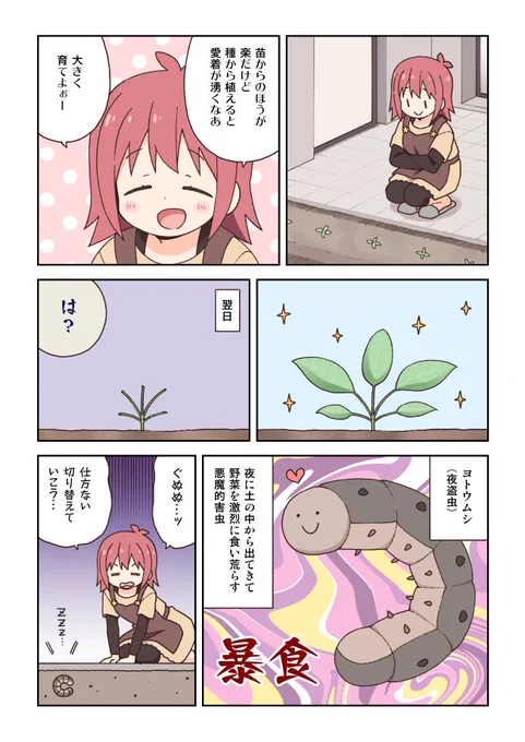 菜園を荒らす土の中の虫図鑑です 