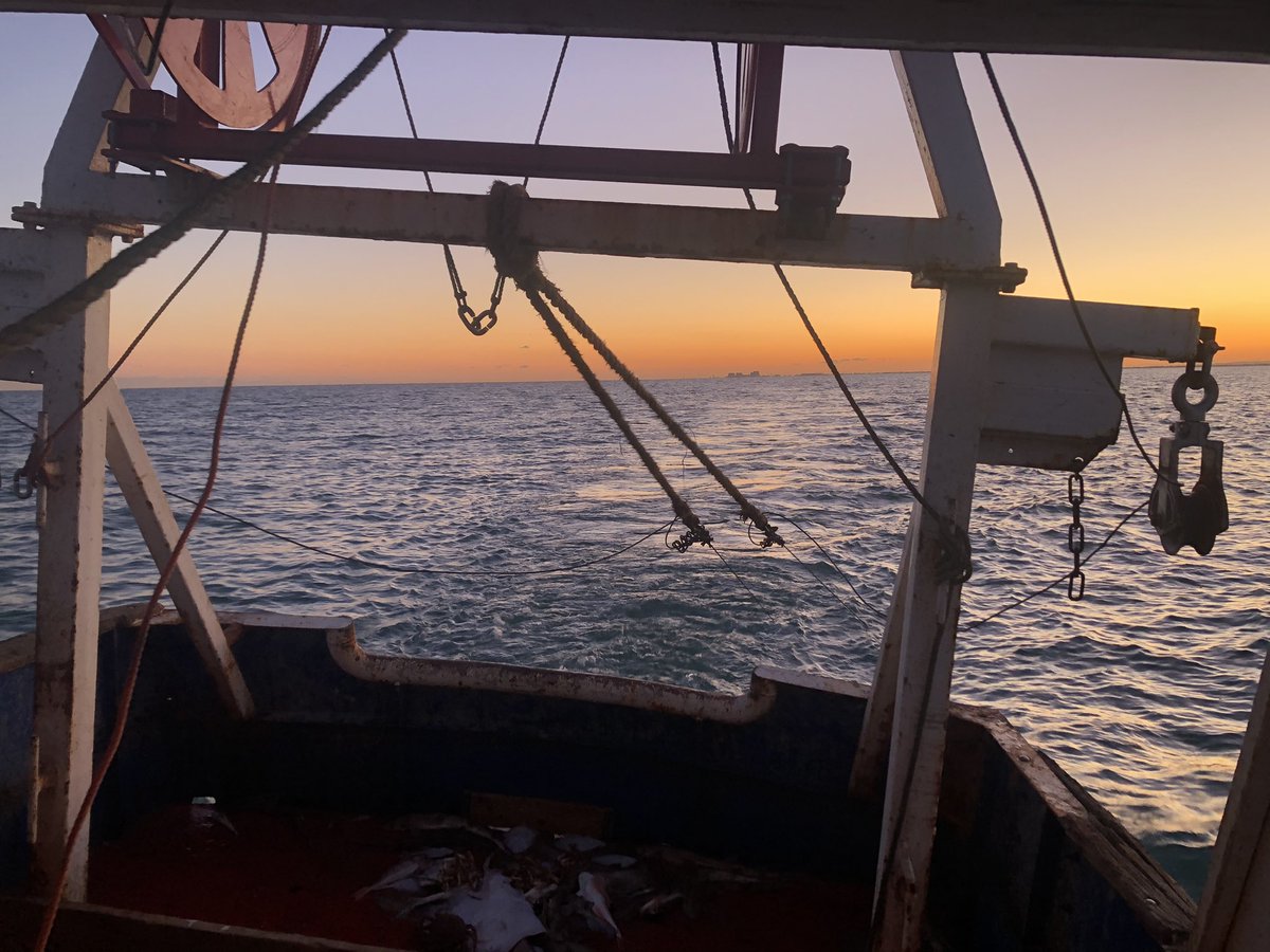 Jonathan Simper tweet media