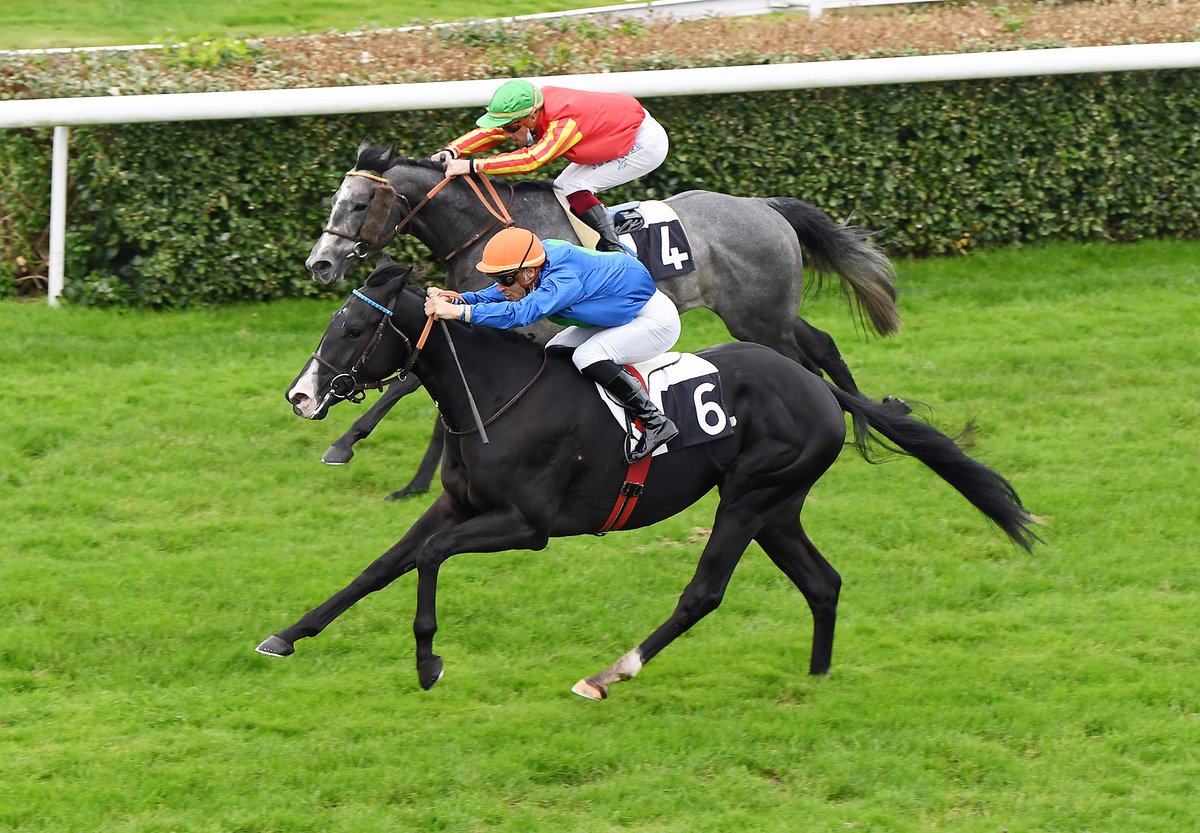 Jour de Galop (@jour_de_galop) on Twitter photo DABESPIR (Dabirsim <a href="/Harasdegrandcam/">Haras de Grandcamp</a>) débute victorieusement ds le Px de Floirac à Bordeaux. Il porte les couleurs d'A. Sedrati et est entraîné par D. Guillemin. C'est un fils de la bonne ESPIRITA. <a href="/InfoArqana/">ARQANA</a> <a href="/Charles_Briere_/">Fairway Consignment</a> <a href="/dsalabi/">DavidSalabi</a> 📸 R. Polon DABESPIR (Dabirsim <a href="/Harasdegrandcam/">Haras de Grandcamp</a>) débute victorieusement ds le Px de Floirac à Bordeaux. Il porte les couleurs d'A. Sedrati et est entraîné par D. Guillemin. C'est un fils de la bonne ESPIRITA. <a href="/InfoArqana/">ARQANA</a> <a href="/Charles_Briere_/">Fairway Consignment</a> <a href="/dsalabi/">DavidSalabi</a> 📸 R. Polon