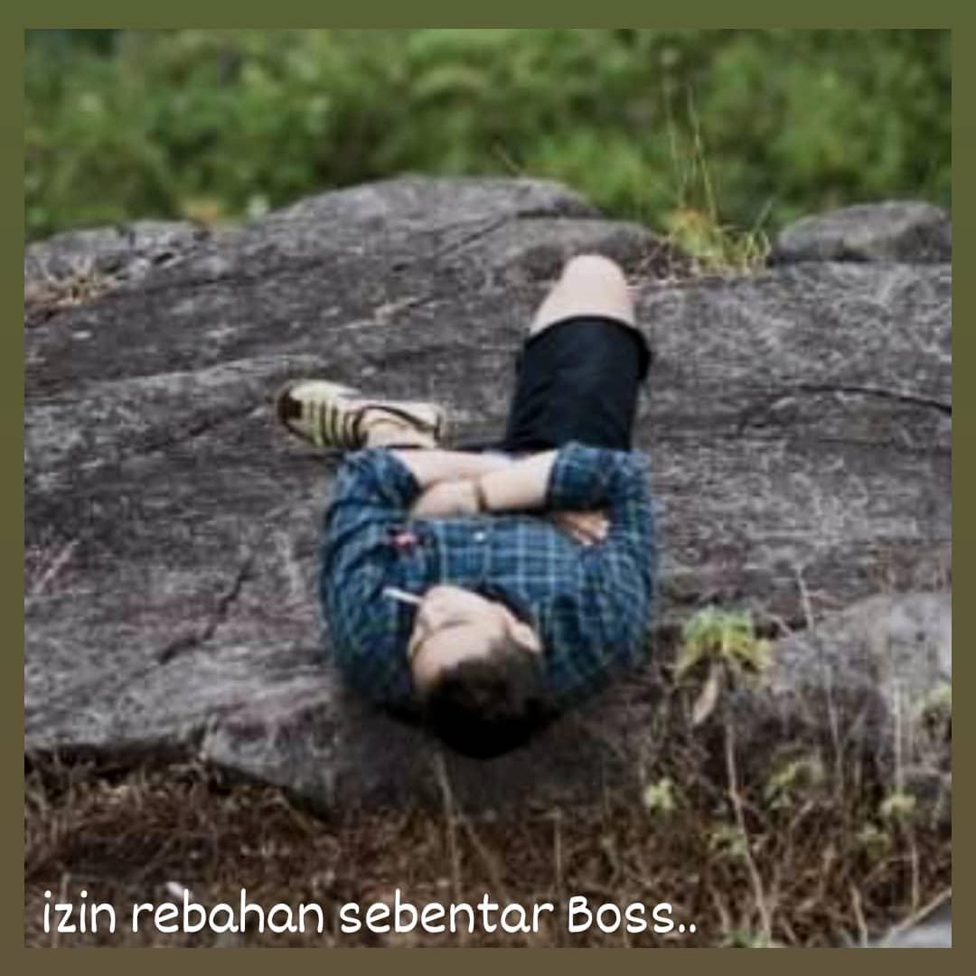 bomzafie's tweet photo. izin rebahan sebentar Boss.. #bosque #rebahan #capek #covid19 #lelah #viral https://t.co/fgH0LkEPFZ