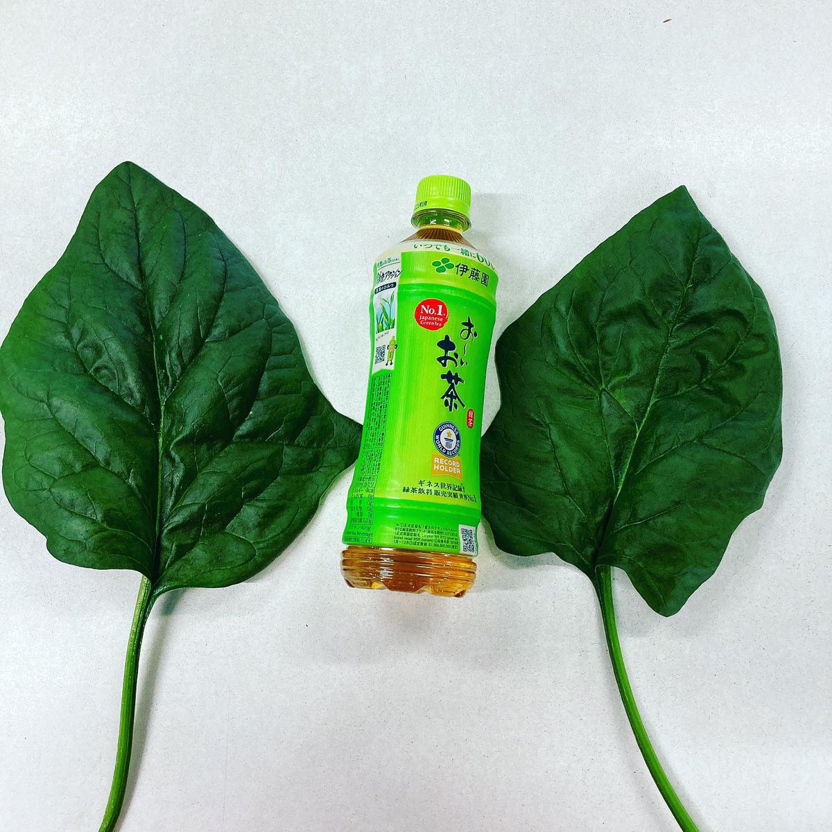 農薬不使用野菜