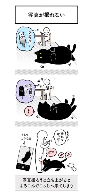 いつもかわいいポーズを撮り逃がす悲しみ(とわずかな嬉しさ)の絵日記
#ろんの絵日記 