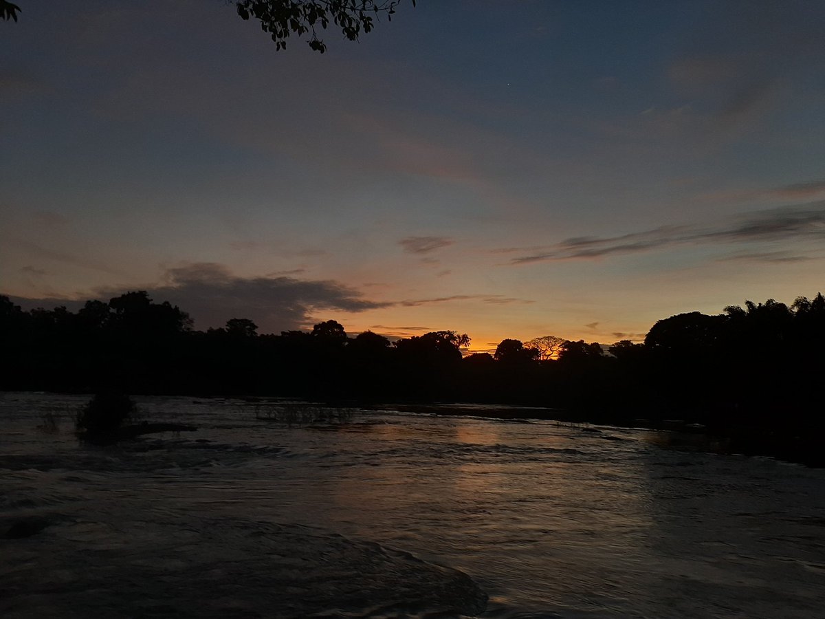 Naliciasphotog1's tweet photo. ๐๐คฉ God's creation is beautiful!
#sunrise in #menimi #suriname #๐ธ๐ท https://t.co/tcqsYIl2OQ