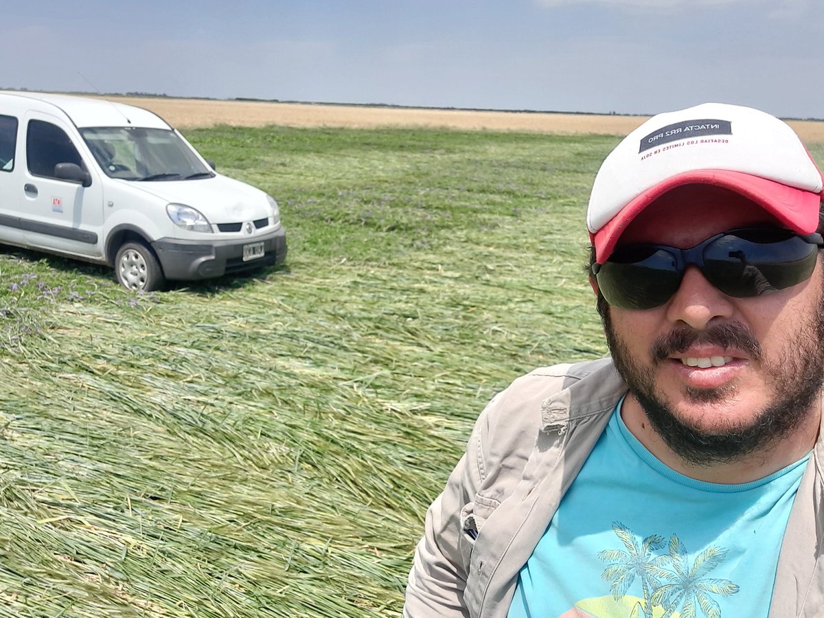 WalterINTAVille's tweet photo. Red de ensayos de CC. Localidad Drabble. Rolando ensayo de CC con y sin pastoreo. Tratamientos: testigo, triticale, vicia y t+v. #cultivosdecobertura
@intaargentina @mauro_rampo @aapresid @IntaPergamino @intasuelos @YSuelos @GuillermoRivet1 @ConsultoraOeste @grupoElLabrador https://t.co/J0YanT1xje
