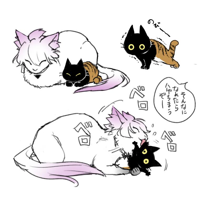 きょうのにゃんこ
#そねこねこ 