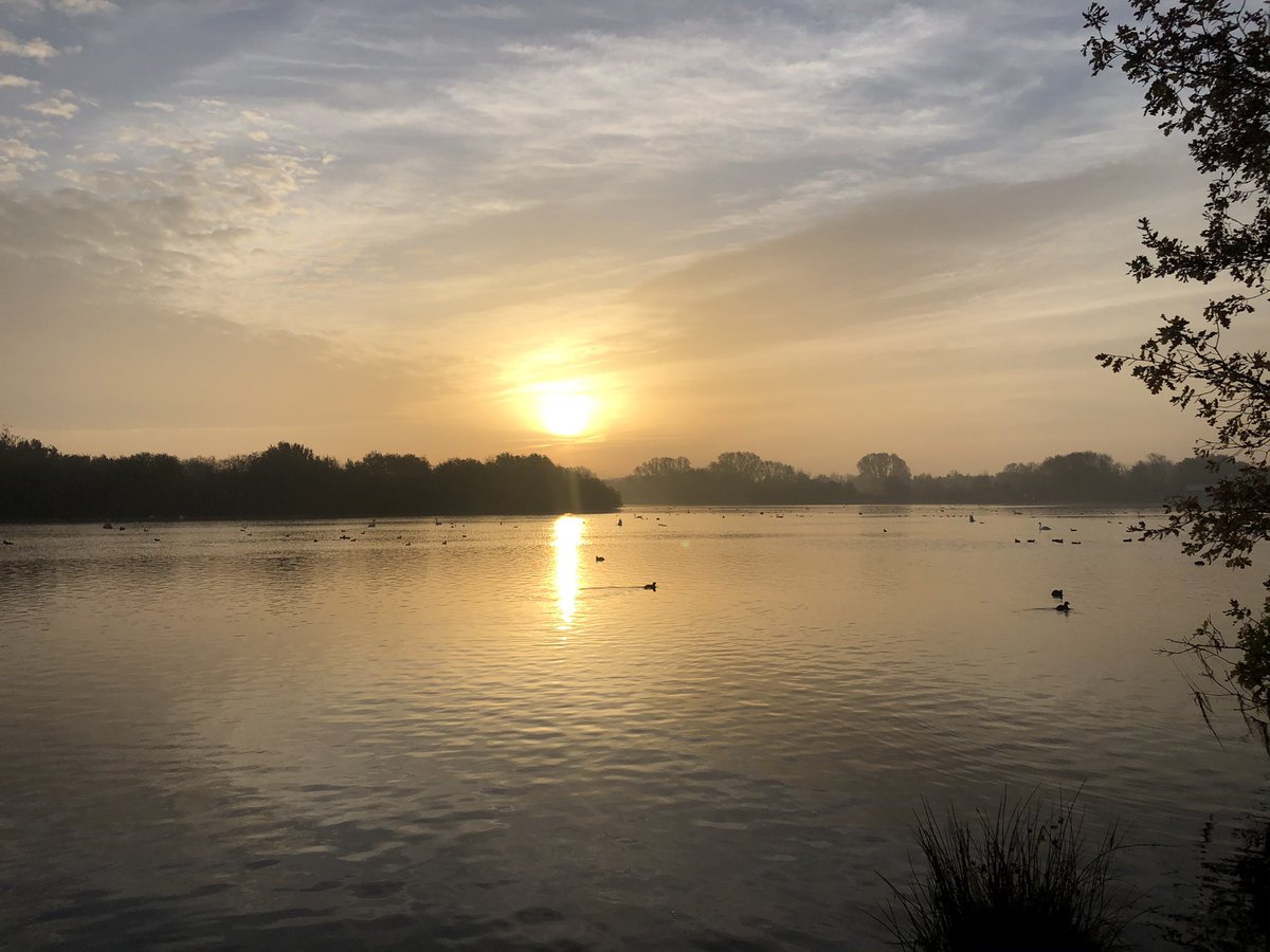 kelli_dunkley's tweet photo. #MoRunner #movember2020 #morunvirtualrace #10km #sunrise https://t.co/ku5MDrEdiJ
