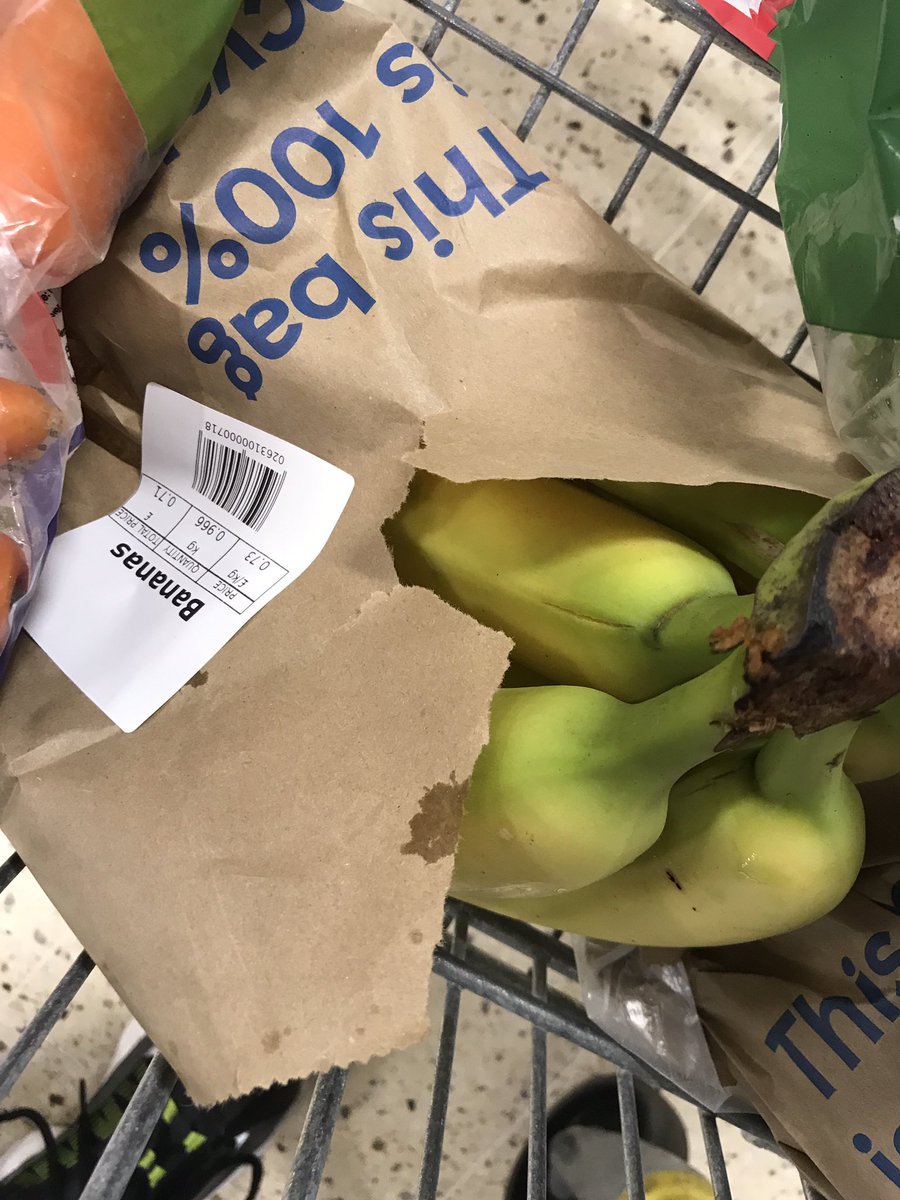 dale_dickinson's tweet photo. I'm all for saving the environment @Tesco, but your paper bags are shit! #bringbackplastic https://t.co/VpKC1YkStW