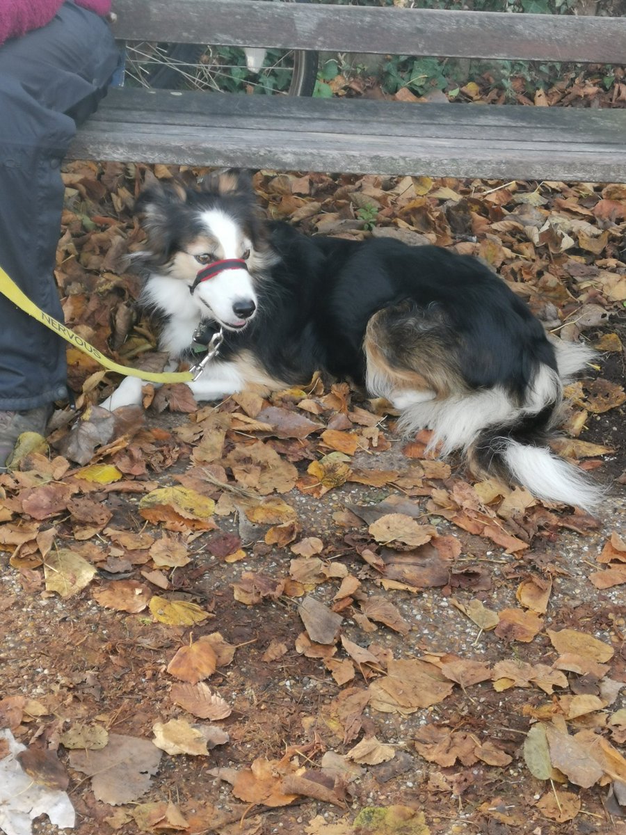 CandyBench's tweet image. Under a local bench today!