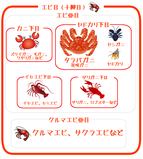 ヤドカリのtwitterイラスト検索結果 古い順 ヤドカリのtwitterイラスト検索結果 古い順