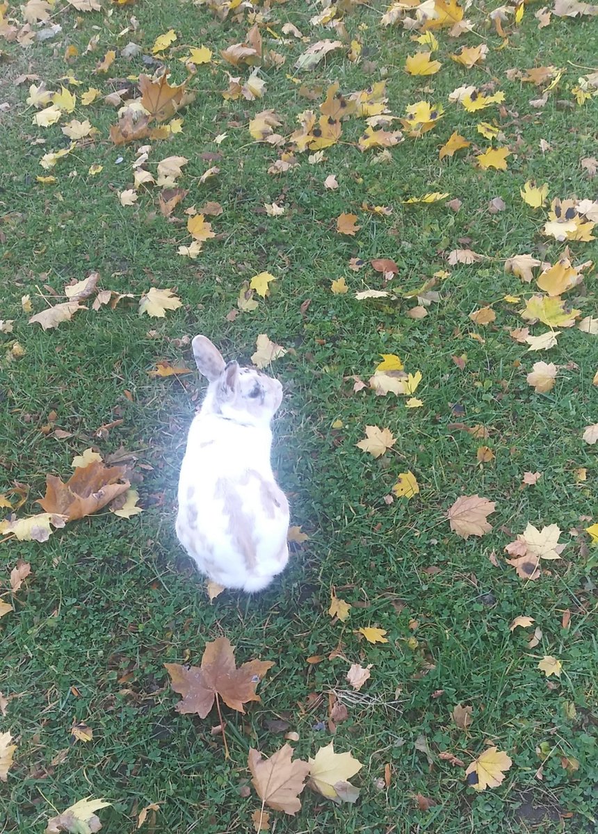 LivingOffPoetry's tweet photo. He grow
He glow
He white as snow https://t.co/bPexNDV1tU