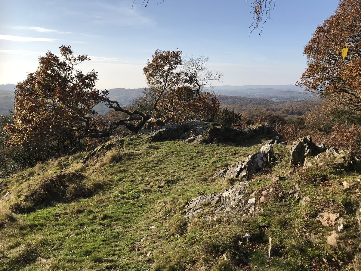 Perfect conditions and walking between Newby Bridge, Finsthwaite and High Dam 😍 #LakeDistrict #autumncolours #dailylakes