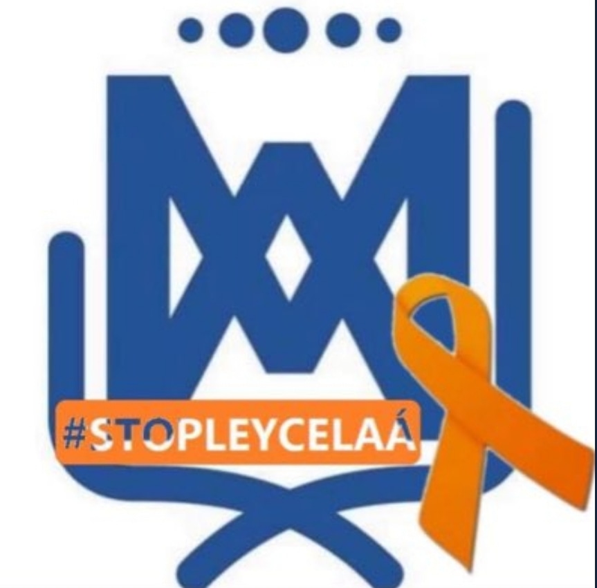 ciamariava's tweet photo. 💙💛 Por un sistema educativo que respete la libertad de enseñanza y la pluralidad #StopLeyCelaá #MasPlurales @ecatolicas https://t.co/iCTbC1Esjo