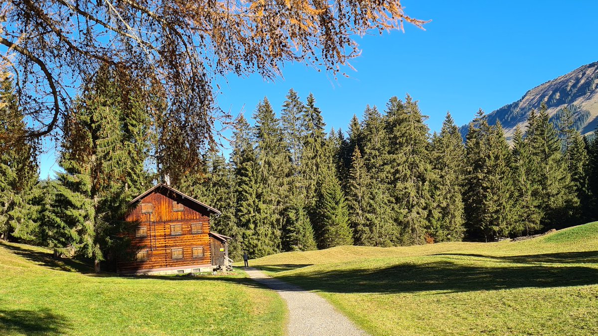 Hans&Odette tweet media