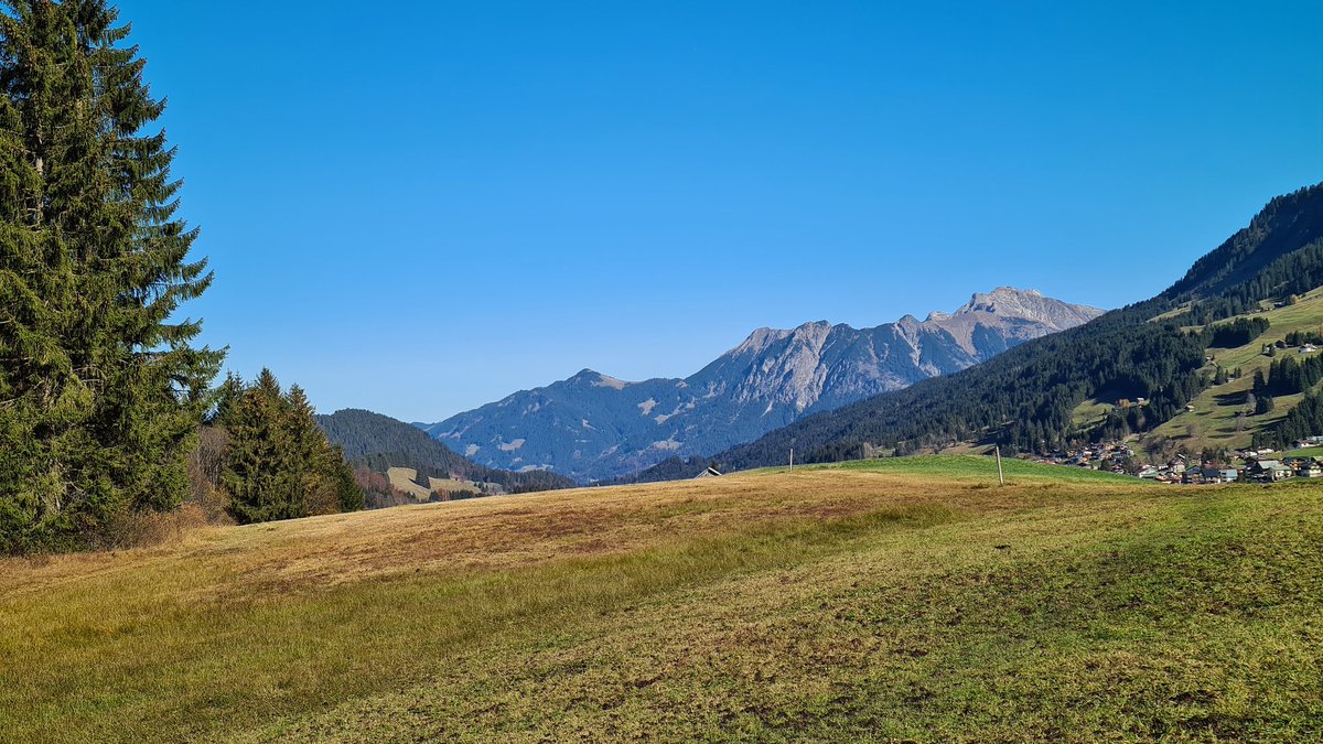 Hans&Odette tweet media