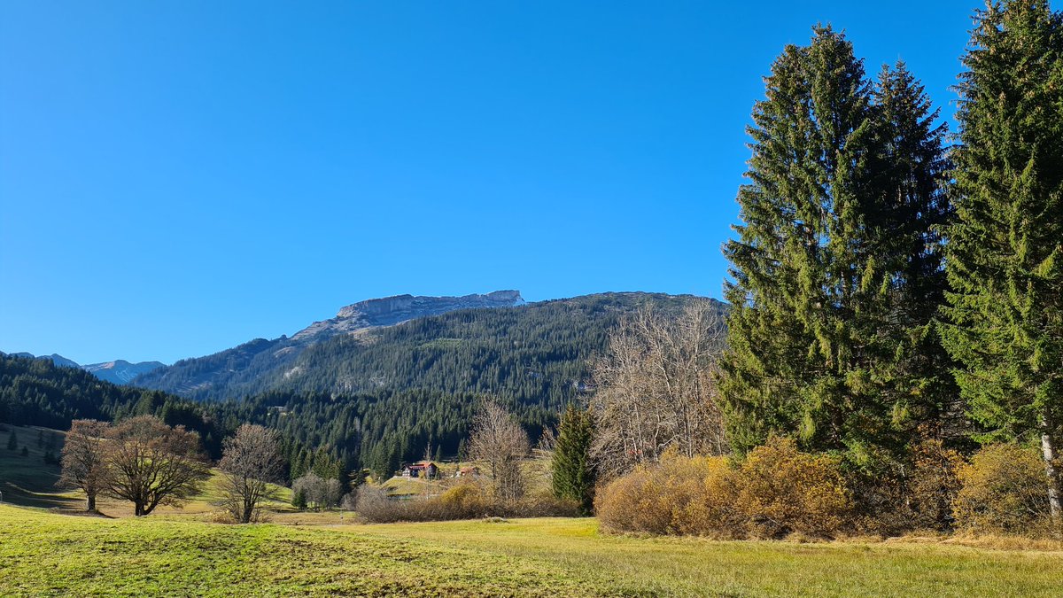 Hans&Odette tweet media