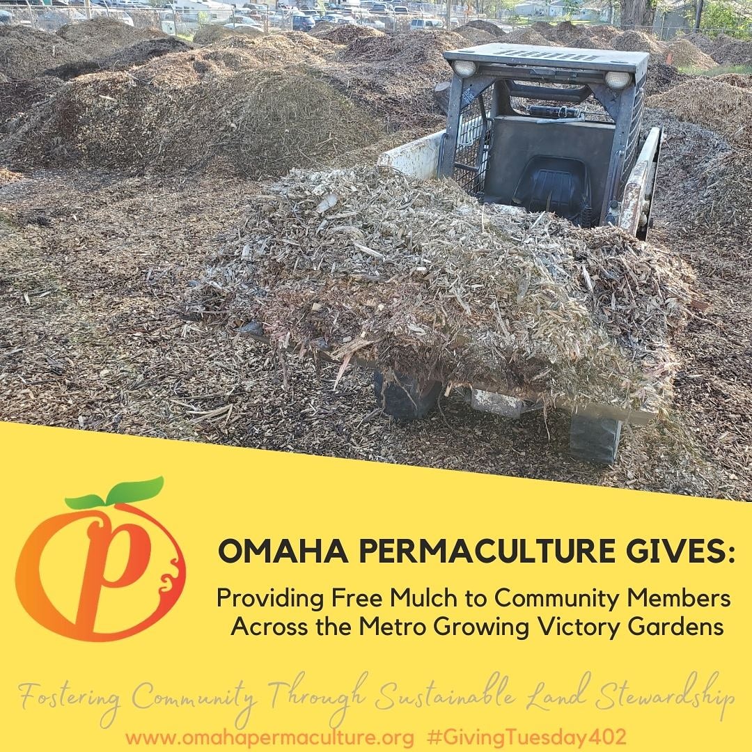 OmaPermaculture's tweet photo. OP filled over 50 pickup beds this 2020 season with #free #woodchips for #victorygardens and #communitygardens throughout #Nebraska. Community leaders drove from 50 miles away to fill their pickup. #landstewardship #LessisMow  #givingtuesday402 #permaculture https://t.co/O3KzTrYt4n
