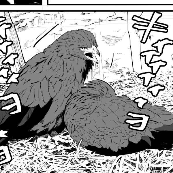 キィィィィィヨじゃないと思うけど、鳴き声を文字に変換難しい。
短く鳴くのではなく、ちょっと長く鳴くときの、細かいビブラートみたいな声なんですが… 