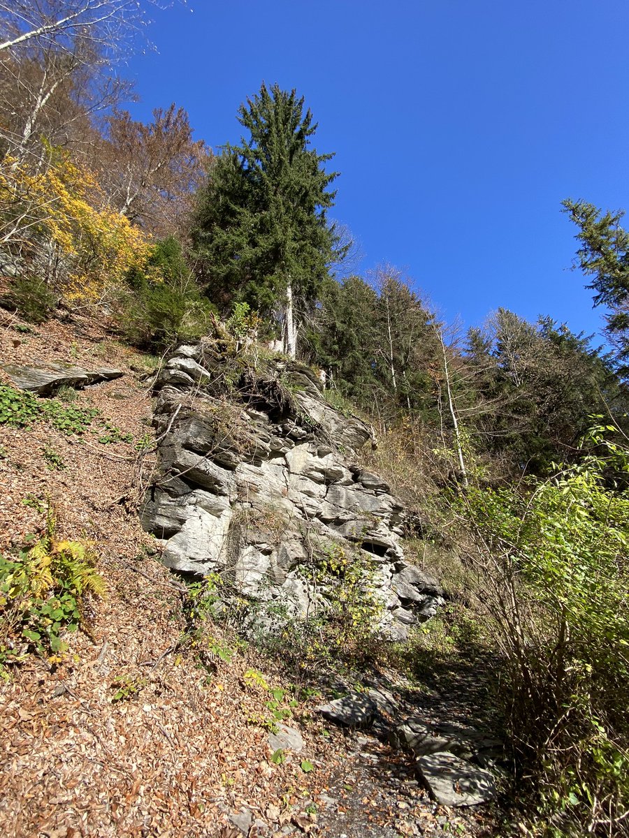 sandro_w_hess's tweet photo. #Herbstwanderung #Fraxern-#Treiet-#First 😃👍🏻 https://t.co/BSEzvxrhfK