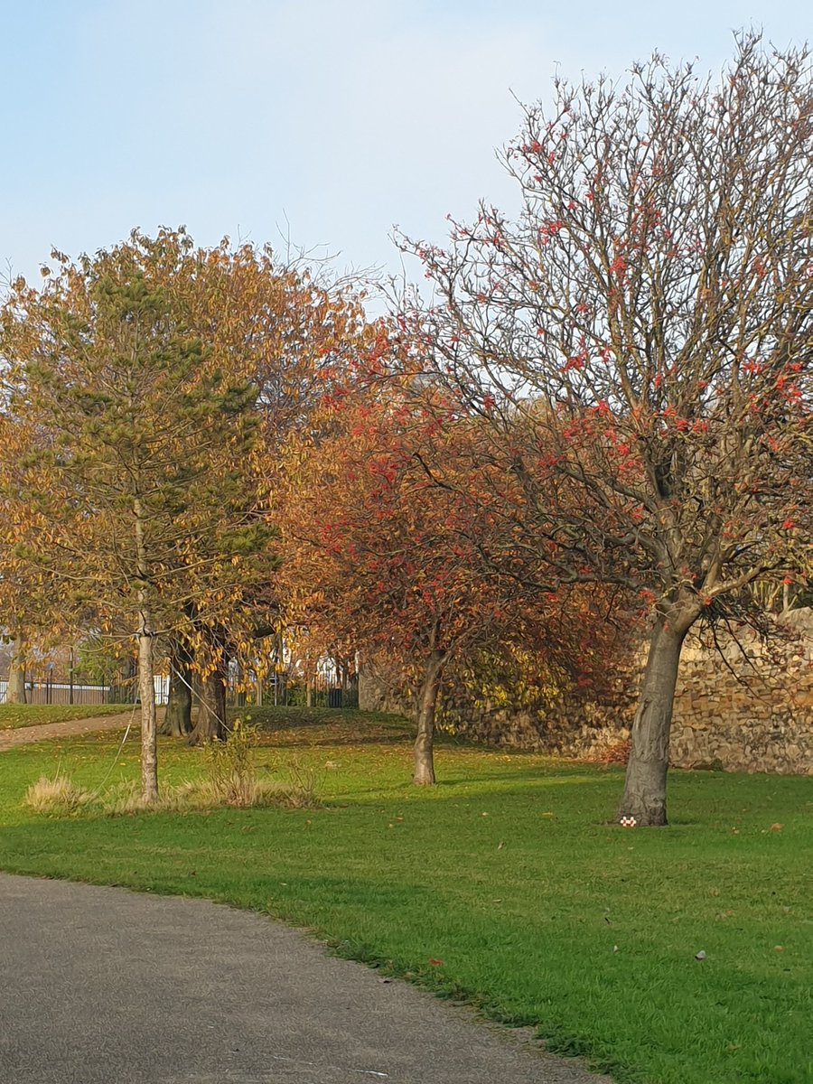 Historic #StPetersChurch 🕍
#DailyExercise Walk 💖💕
#2ndLockdown 🍁🍂🍄