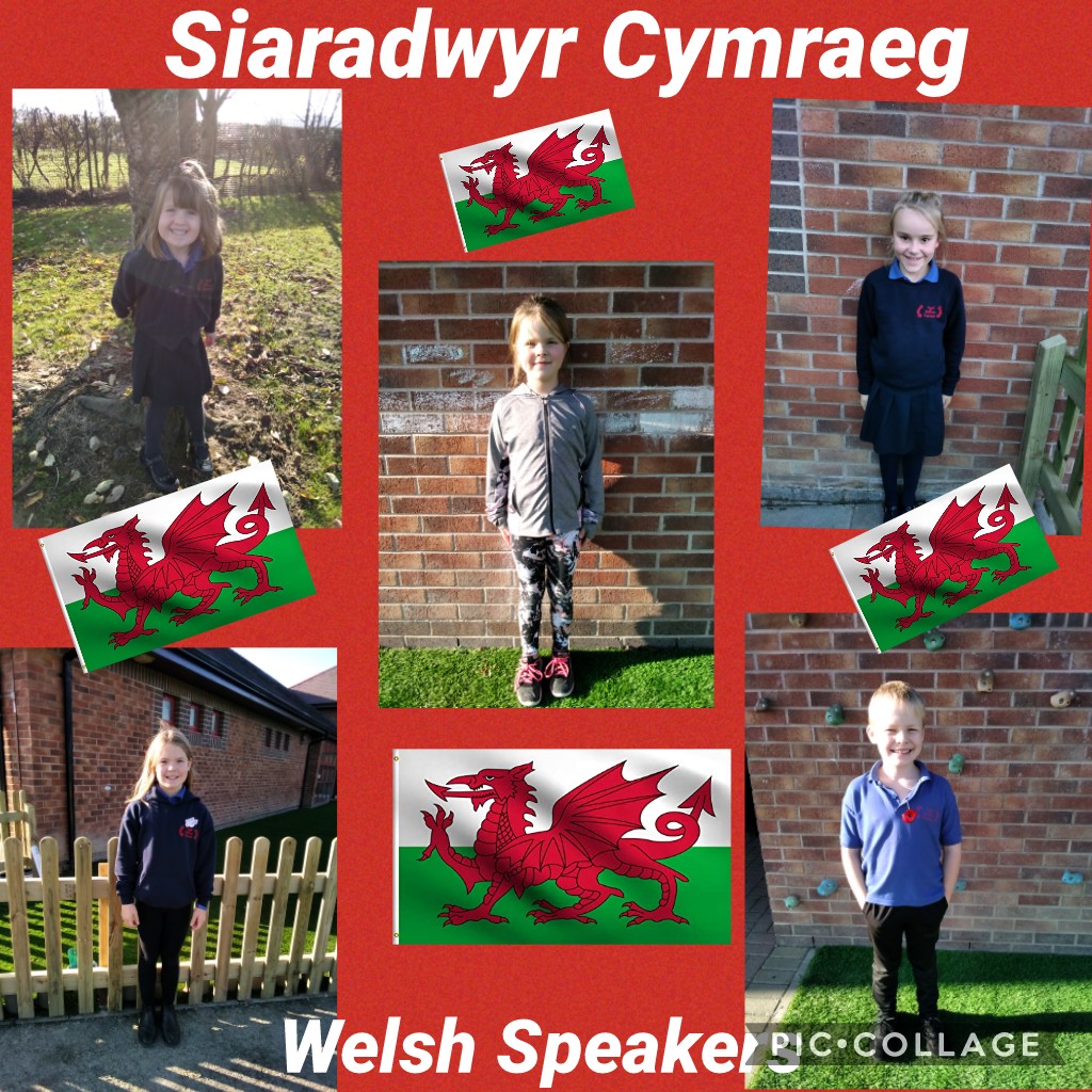 DyffrynTrannon's tweet photo. Dathlu llwyddiannau'r wythnos! Celebrating the week's successes!
Siaradwyr Cymraeg / Welsh Speakers.
#siaradcymraeg #speakingwelsh #learners https://t.co/IzvHGaGUrP