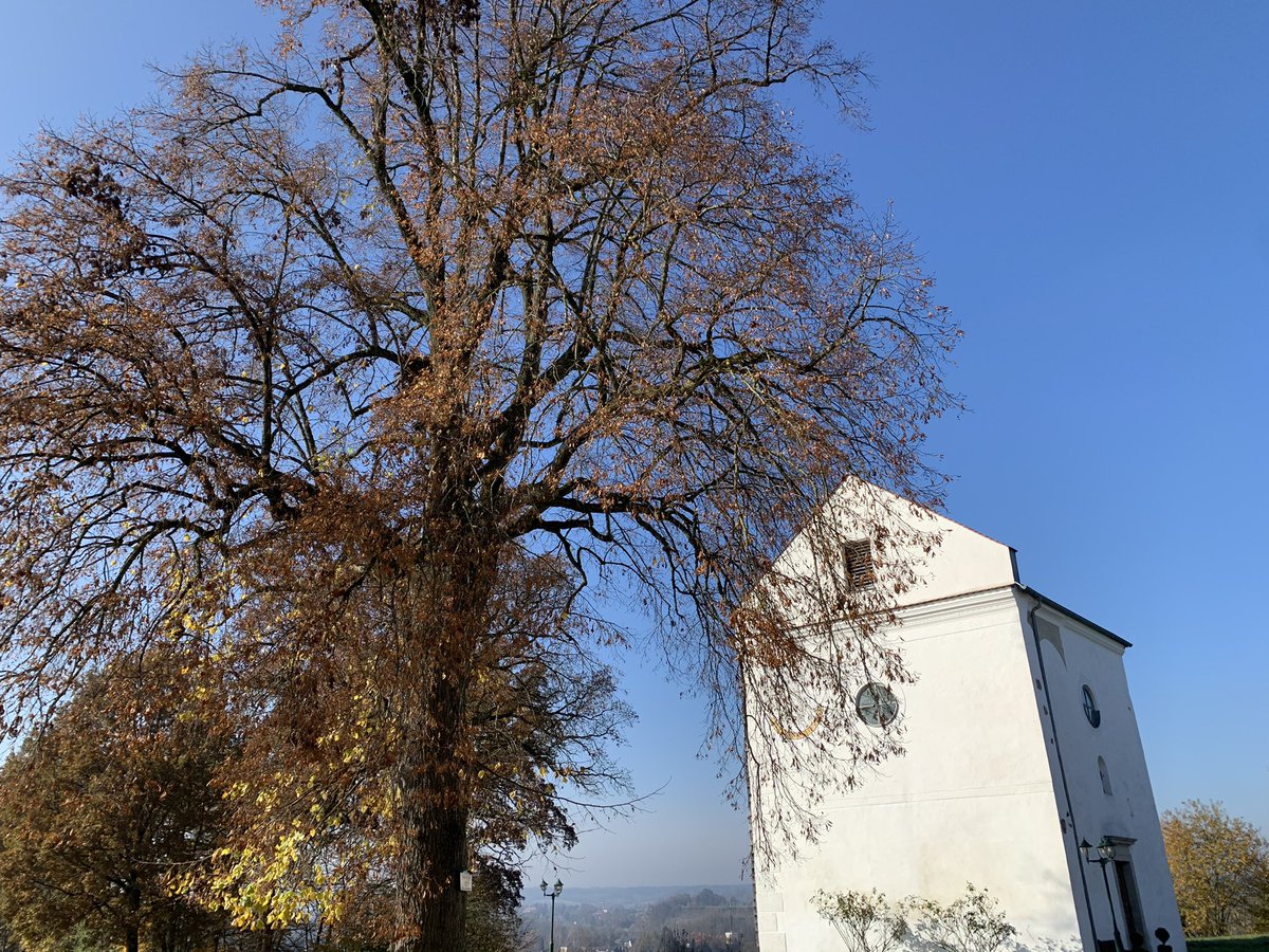 SonjaAblinger's tweet photo. Von Gmunden nach Wels #bikewise. https://t.co/UBNU4HmUnQ