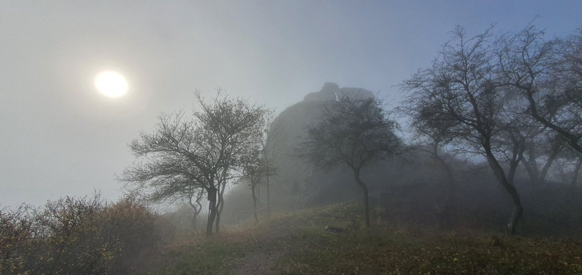 MatusStraznicky's tweet photo. V Středohoří sme dnes nemali výhľady ale tajomný les #kostalov #ovcin https://t.co/mgWysDAVgn