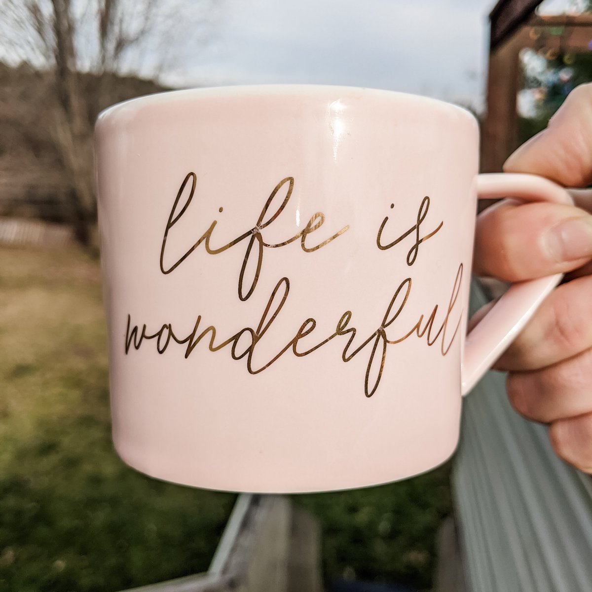 BindingHerbs's tweet photo. Mantra for the day...and maybe the rest of 2020. Learn to find the beautiful pieces in everyday. I choose positivity.
.
#morningwakeup #mugswithamessage #mugcollection #kikkik #positivevibes #mantra #spiritualenergy #positivity #teatime #tupelohunny #newblogger #newbeginnings https://t.co/9wQWsDmFLz