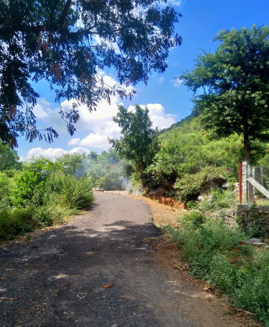 State of a 2,500 year old monument! The road to monument goes via a crematorium & into a deep routeless forest!2,500 ஆண்டு பழமையான தொல்லியல் களத்தின் நிலை! தொல்லியல் களத்திற்குச் செல்லும் சாலை சுடுகாட்டிற்குச் சென்று பாதையற்ற காட்டுக்குள் செல்கிறது!/12