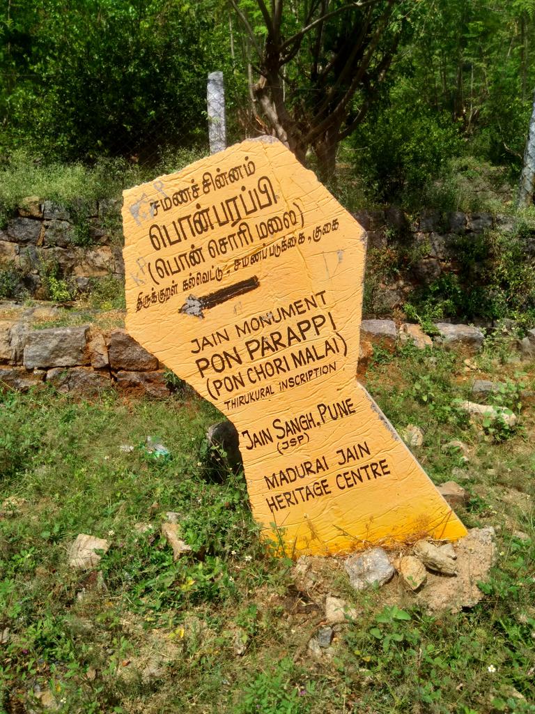 State of a 2,500 year old monument! The road to monument goes via a crematorium & into a deep routeless forest!2,500 ஆண்டு பழமையான தொல்லியல் களத்தின் நிலை! தொல்லியல் களத்திற்குச் செல்லும் சாலை சுடுகாட்டிற்குச் சென்று பாதையற்ற காட்டுக்குள் செல்கிறது!/12