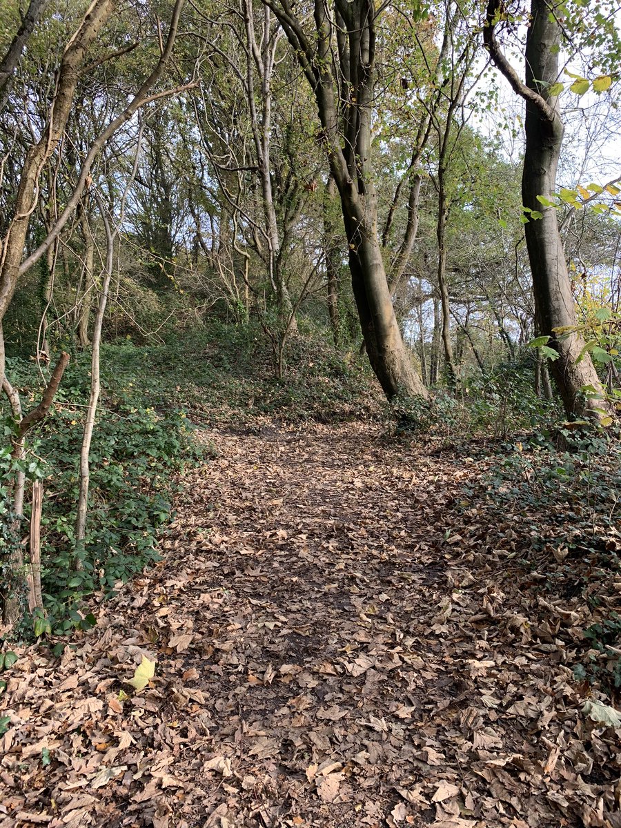 MissKMcD's tweet photo. A lovely Saturday so far #run #coffee #friends #doggies #walk #teacher5aday #exercise ✅ #connect ✅ #nature ✅ @TroopersHill #nicember #diarytoolkit https://t.co/Tr5CaBjLZD